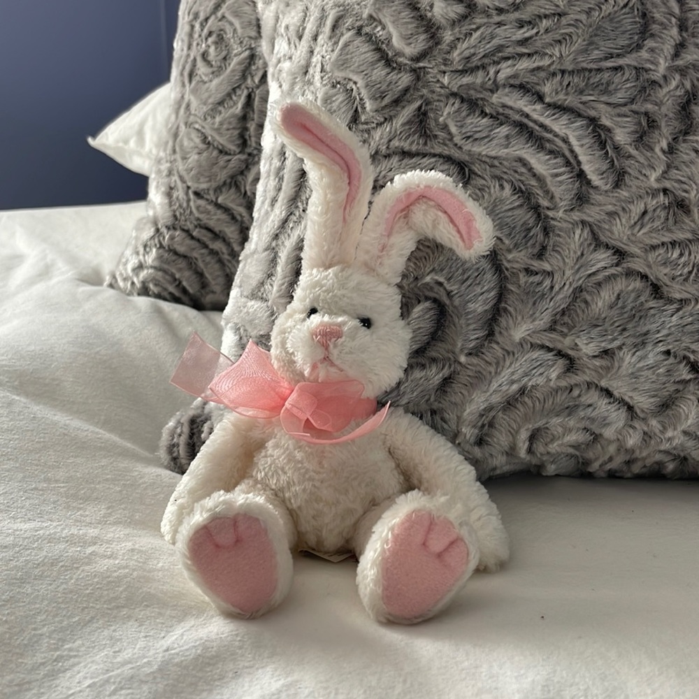 White and pink bunny stuffed toy from Gund. Named Binker.